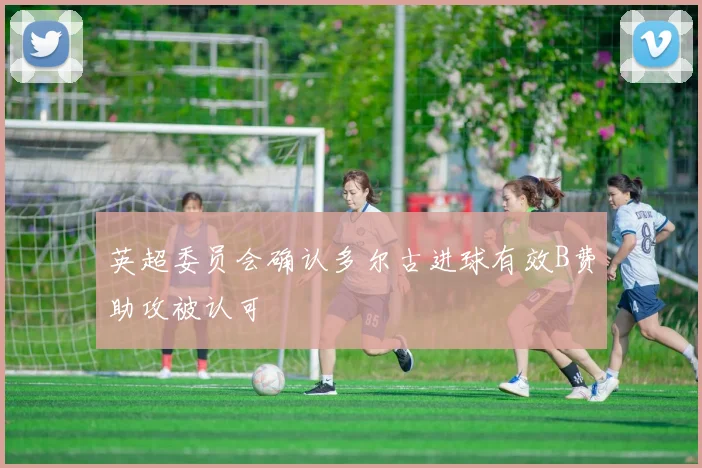英超委员会确认多尔古进球有效B费助攻被认可